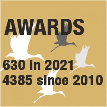 DFJ VINHOS ganha 630 prémios em 2021